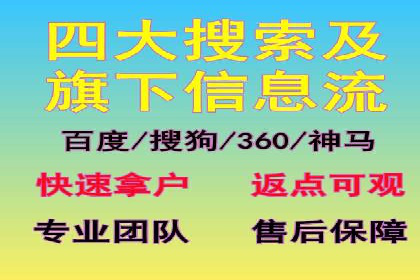 SEM托管成功案例：揭秘高效广告投放策略